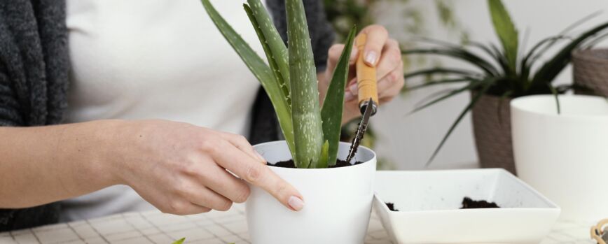 Mãos em close colocando terra em vaso