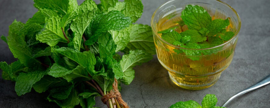 Chá de menta em copo pronto para beber