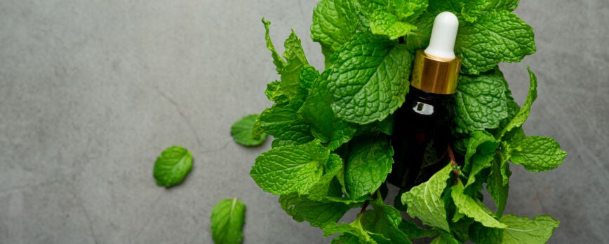 Óleo essencial de menta-pimenta em frasco com menta verde fresca