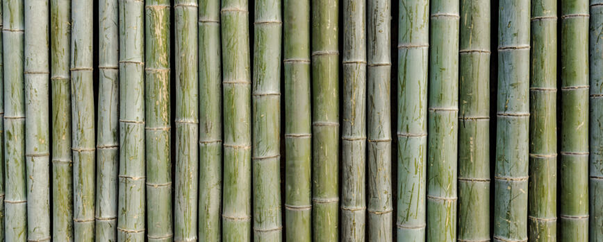 Balsa de bambu