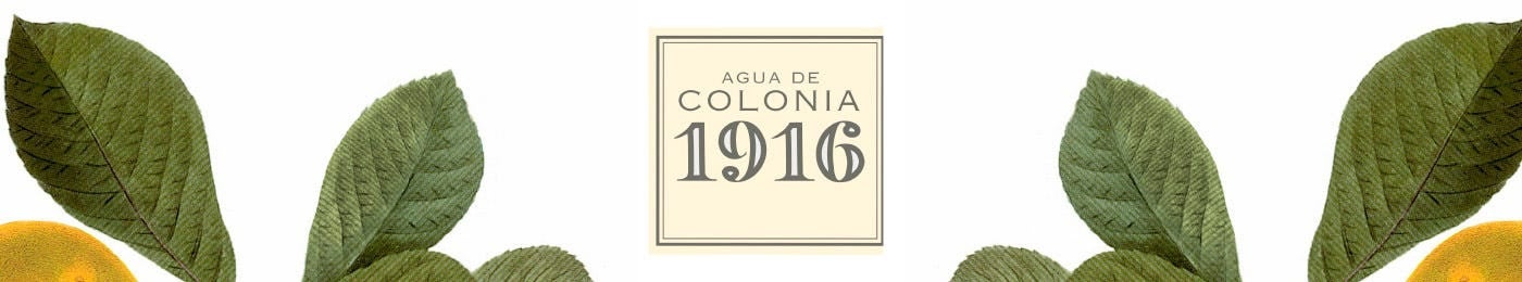 1916