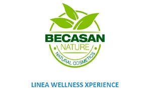 logo-BCS BODY CARE