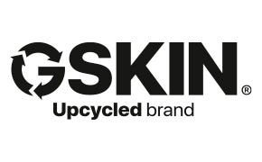 logo-GSKIN