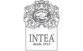 logo-INTEA
