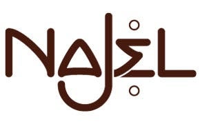 logo-NAJEL