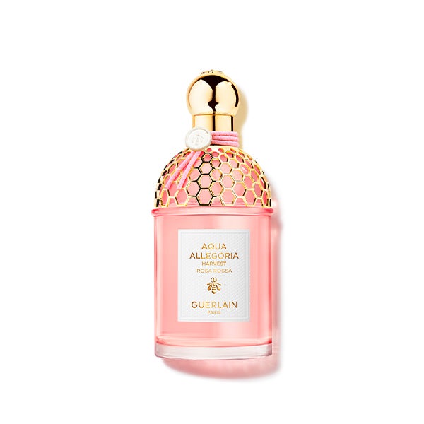 Aqua Allegoria Harvest Rosa Rossa