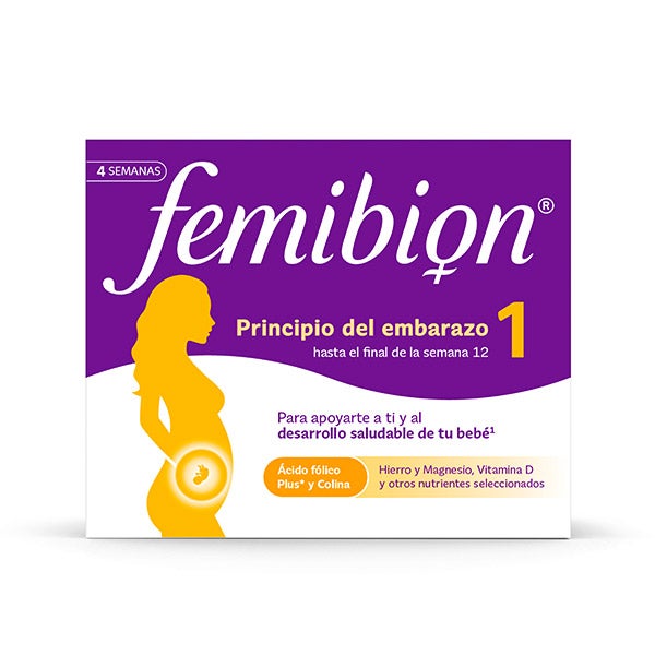 Principio Del Embarazo 1